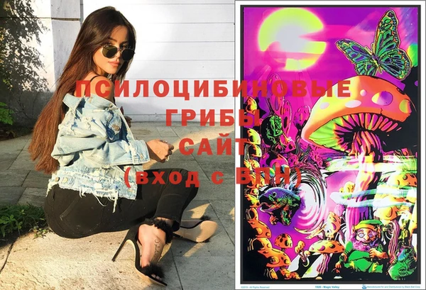 дживик Галич
