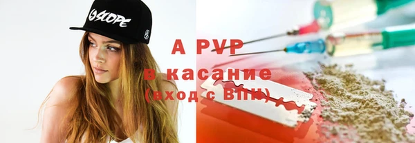 сатива Дмитров