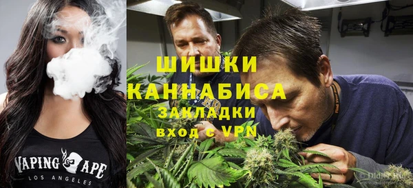 сатива Дмитров