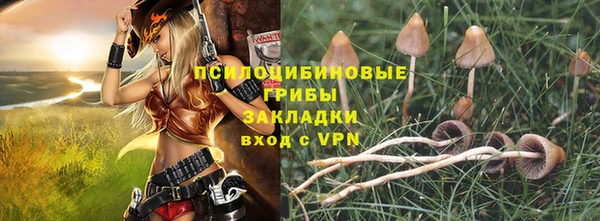 сатива Дмитров