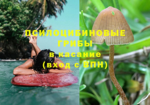сатива Дмитров