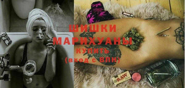 прущие грибы Дмитровск