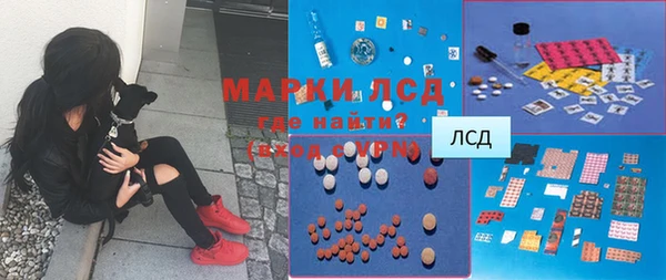 прущие грибы Дмитровск