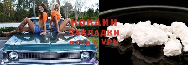 прущие грибы Дмитровск