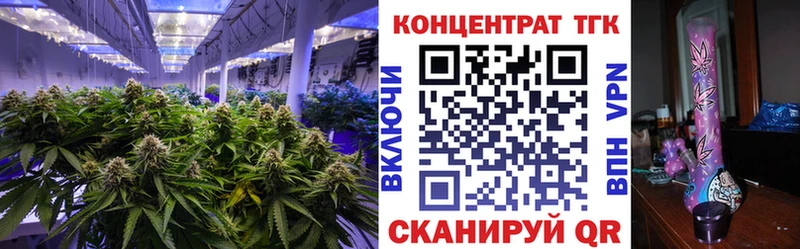 наркотики  Западная Двина  ТГК THC oil 